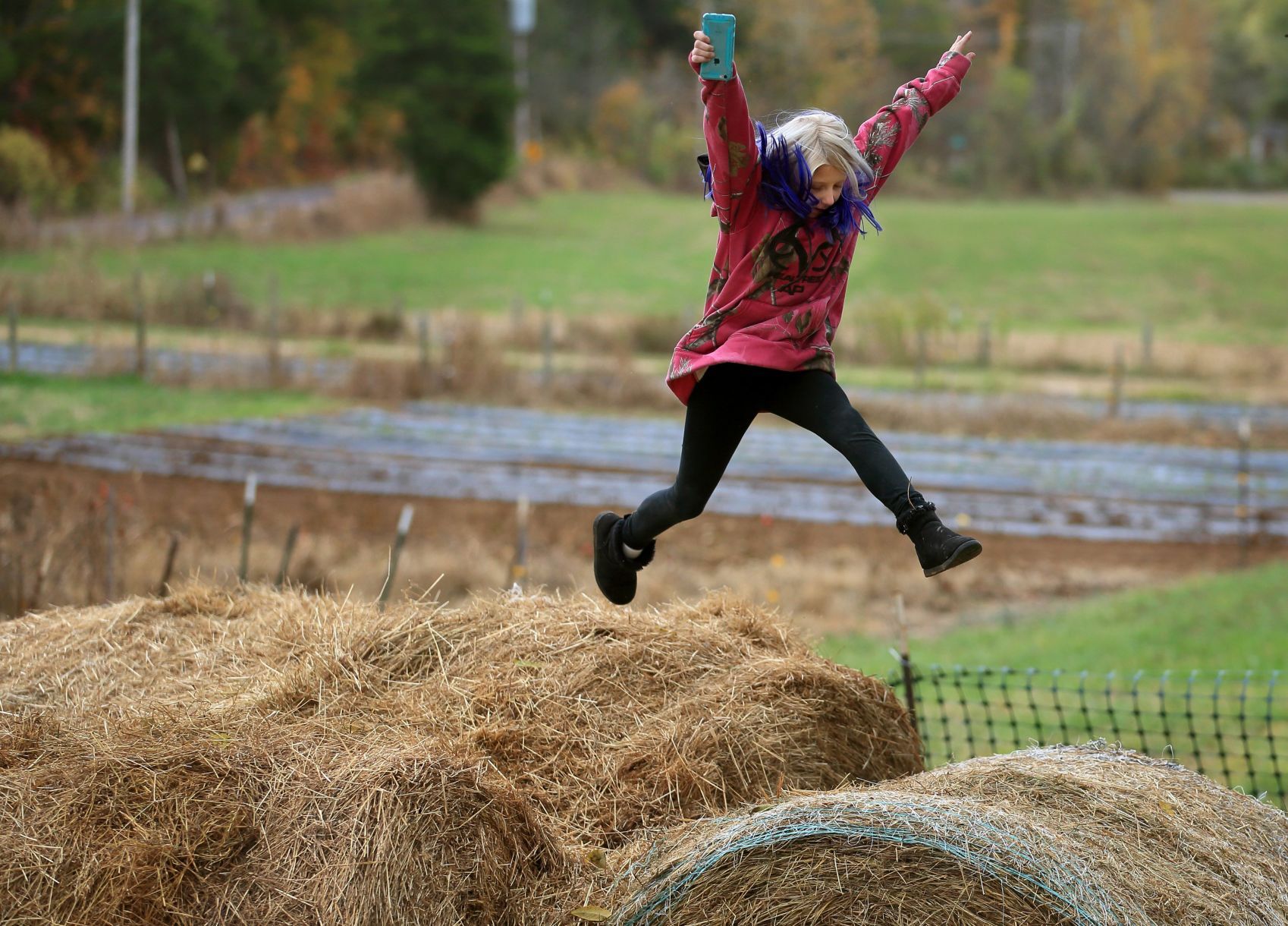 Hay leap